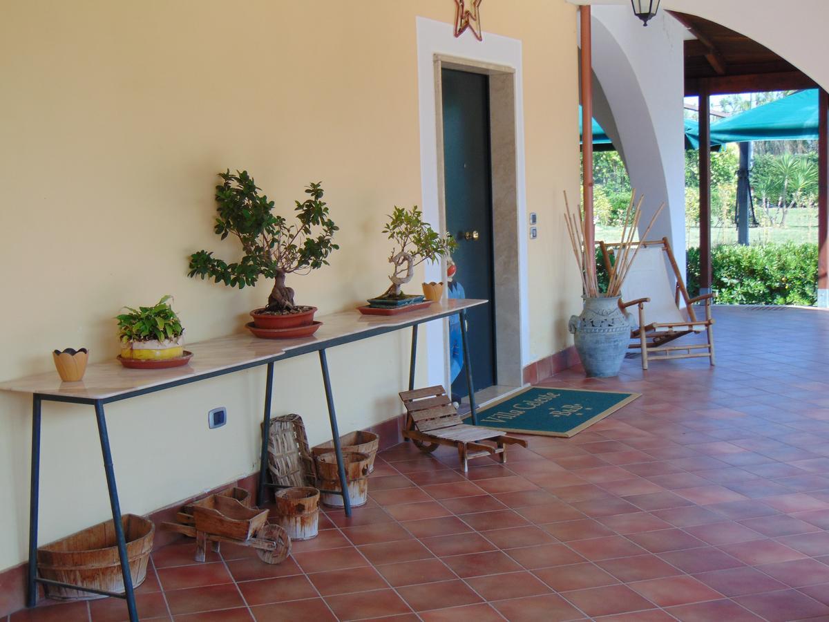 Villa Celeste B&B ปอนเตกัญญาโน ภายนอก รูปภาพ